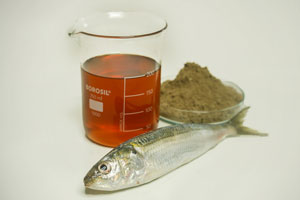 Janatha Crude Fish Meal and Oil